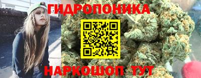 трава Новозыбков