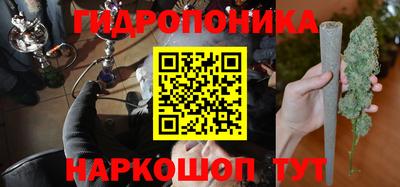 трава Новозыбков