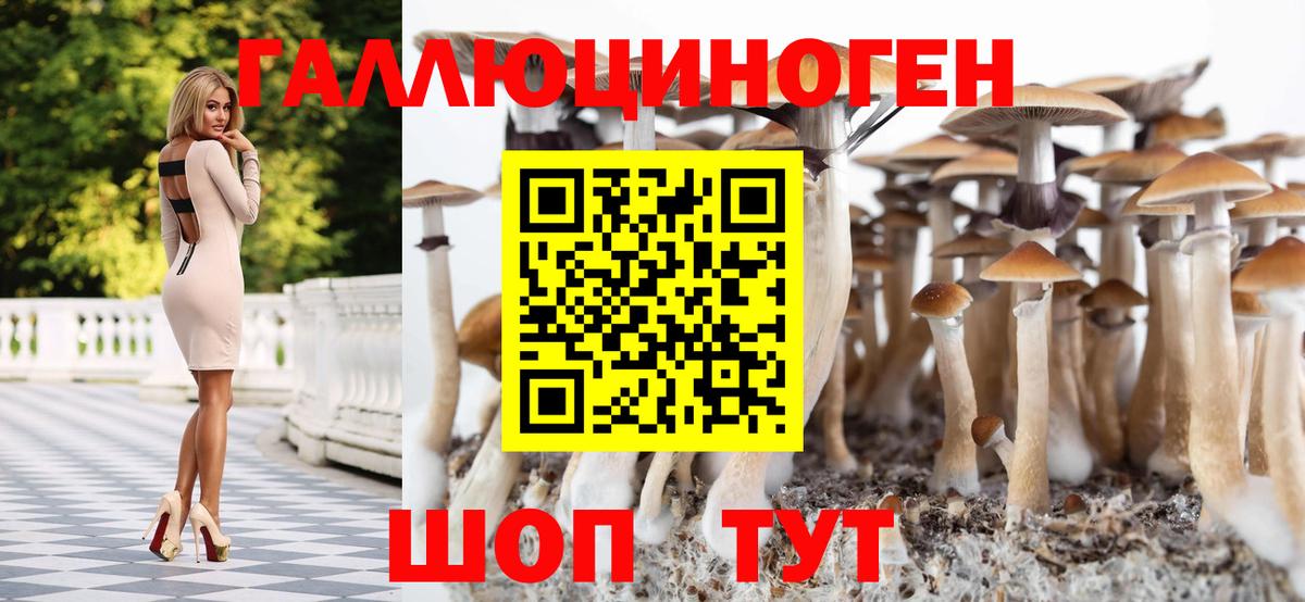 Кирово-Чепецк  Галлюциногенные грибы Psilocybe  Галлюциногенные грибы GOLDEN TEACHER  Вход с VPN 