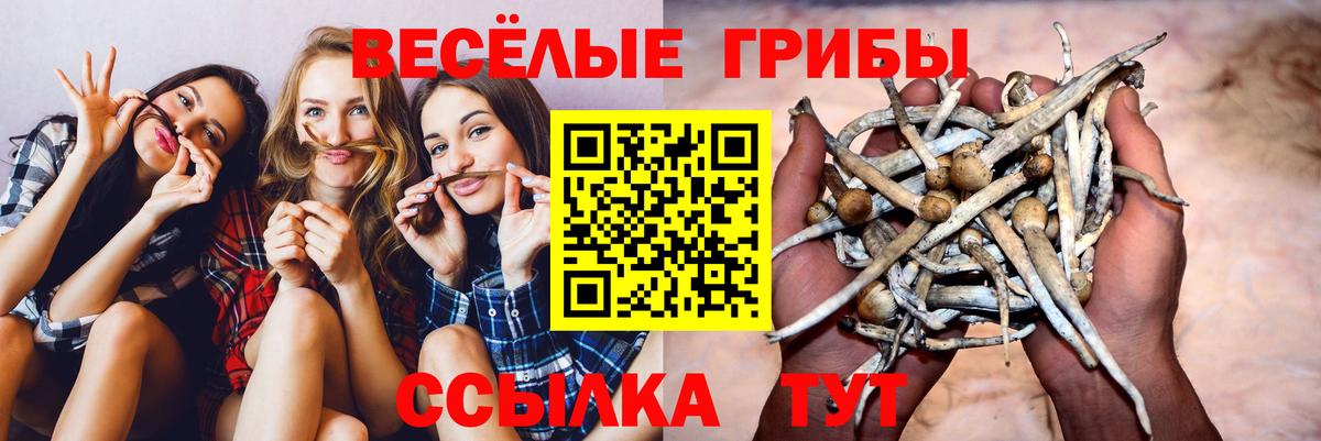 Галлюциногенные грибы MAGIC MUSHROOMS Кирово-Чепецк